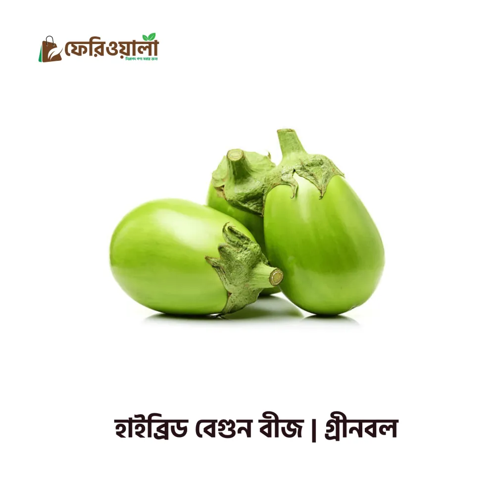 হাইব্রিড বেগুন বীজ গ্রীনবল