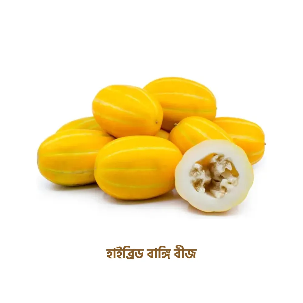 হাইব্রিড বাঙ্গি বীজ